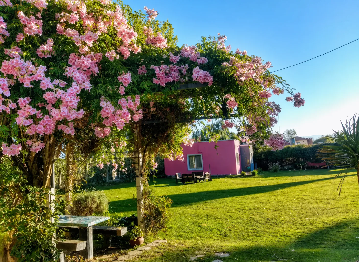 Jardín de Complejo Los Aromos con pérgola florecida