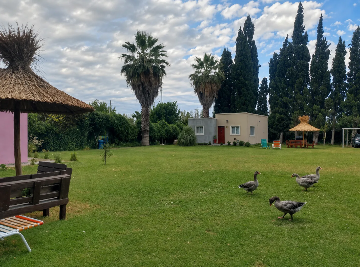 Jardín frente a Las Palmeras con gansos